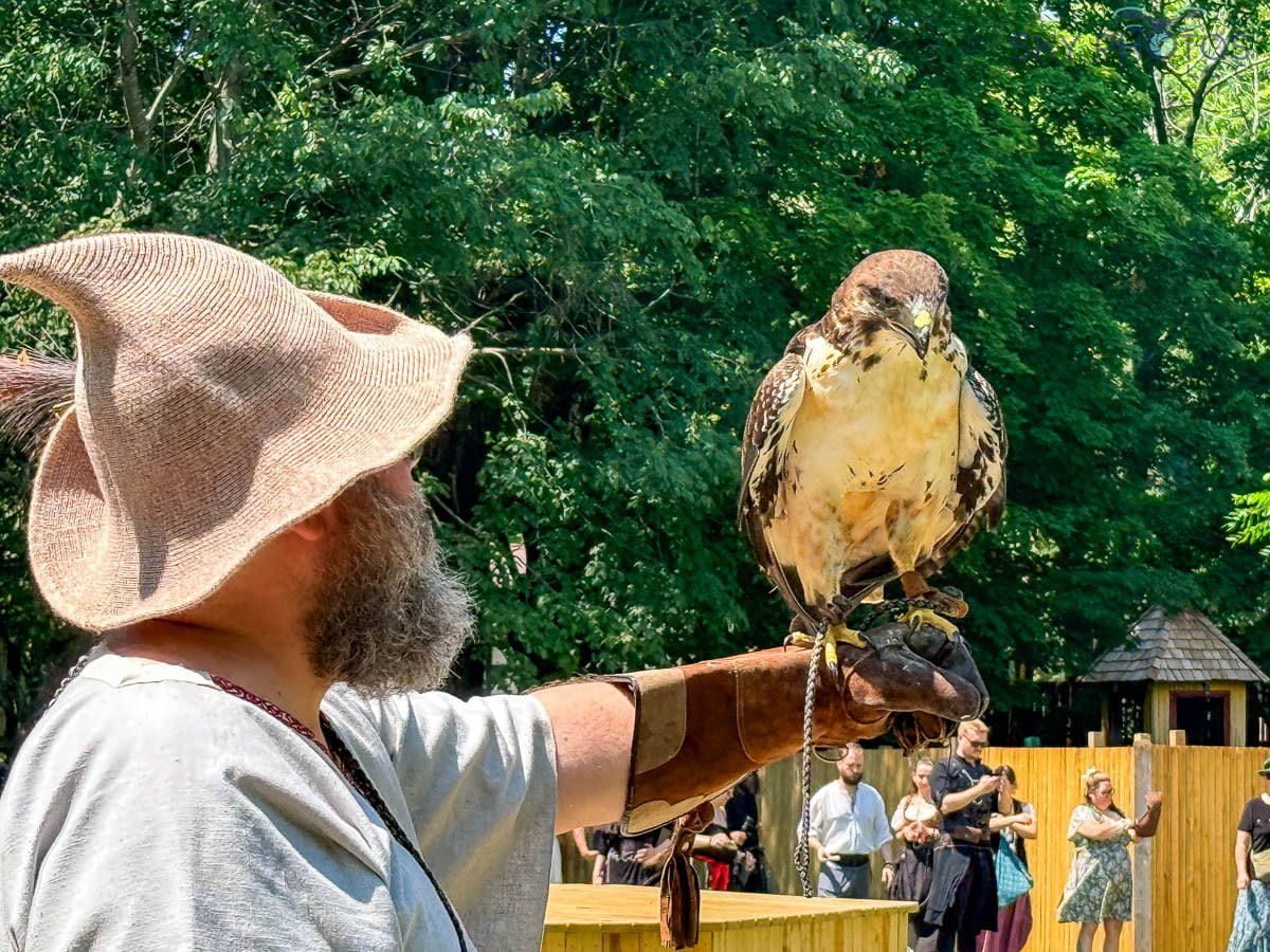 Holding an "organic hunter killer autonomous platform"